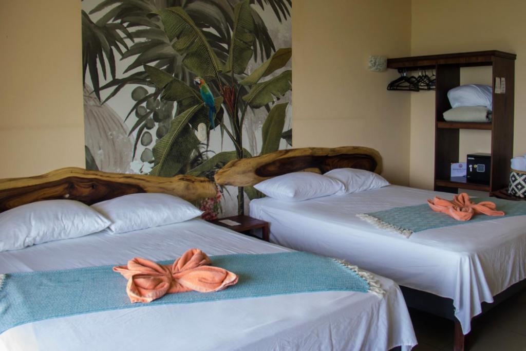 מונטזומה Sunshine Sanctuary Boutique Jungle Lodge מראה חיצוני תמונה