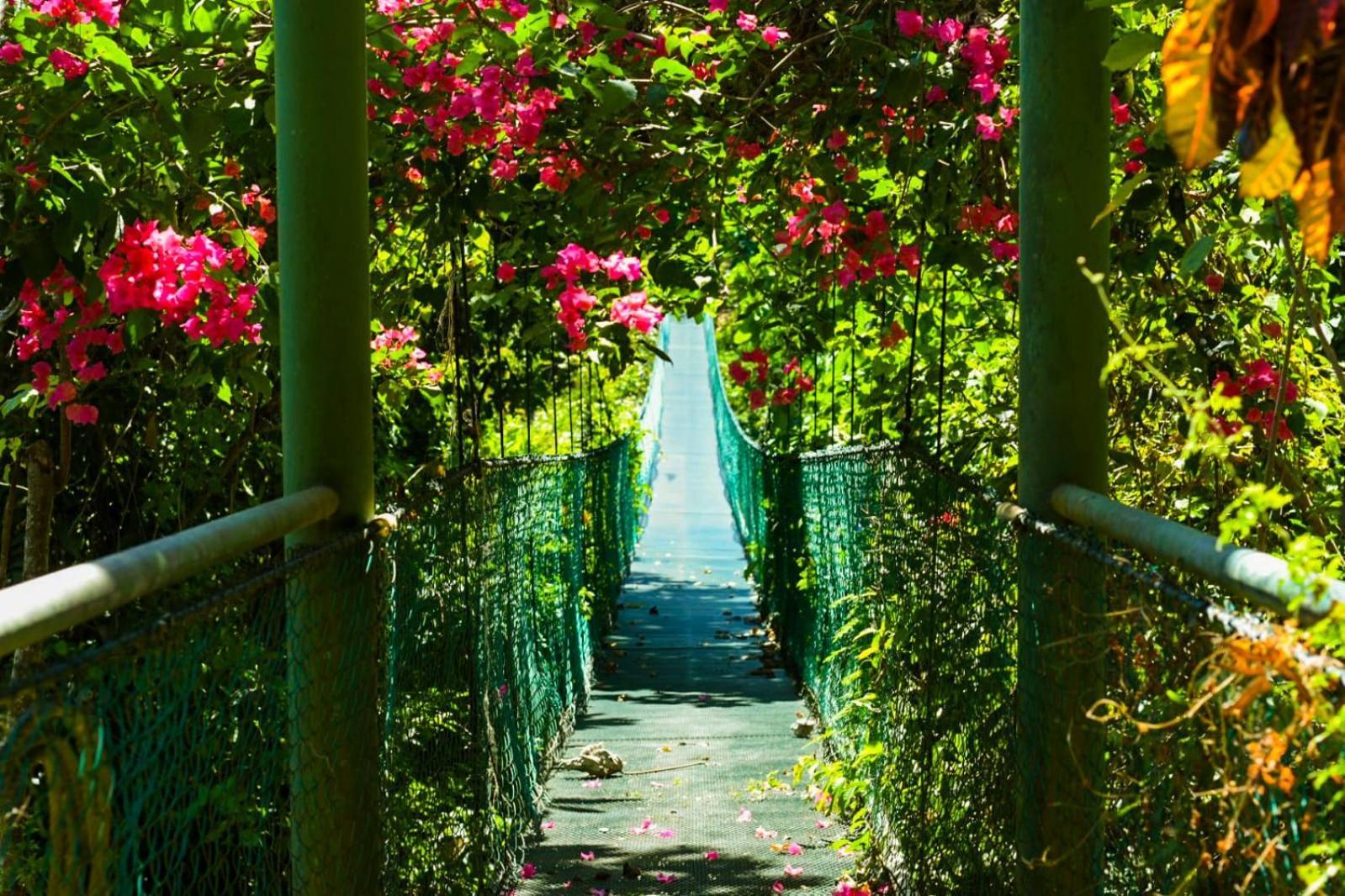מונטזומה Sunshine Sanctuary Boutique Jungle Lodge מראה חיצוני תמונה