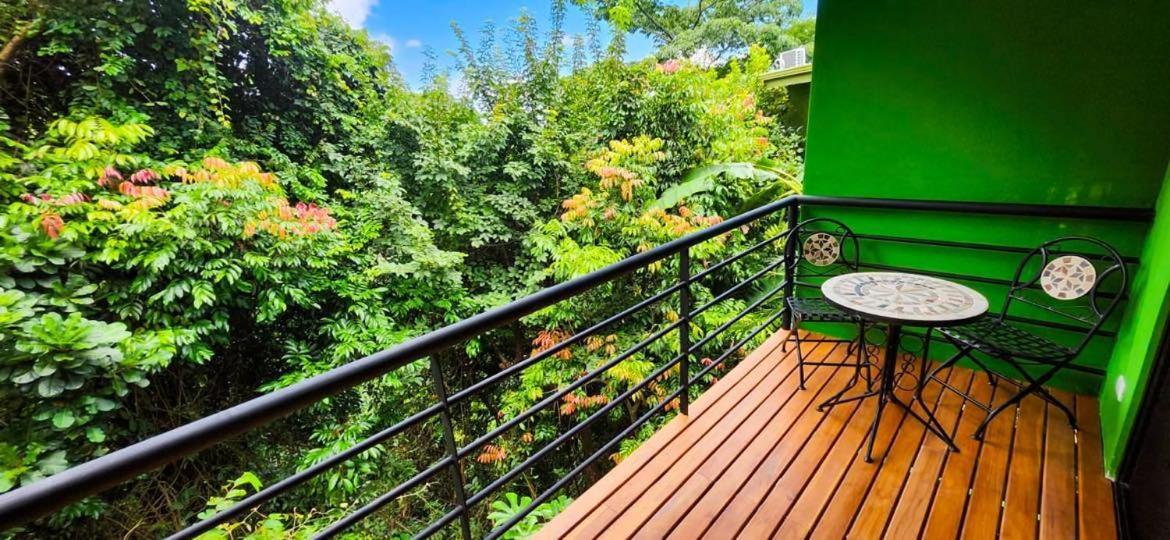 מונטזומה Sunshine Sanctuary Boutique Jungle Lodge מראה חיצוני תמונה
