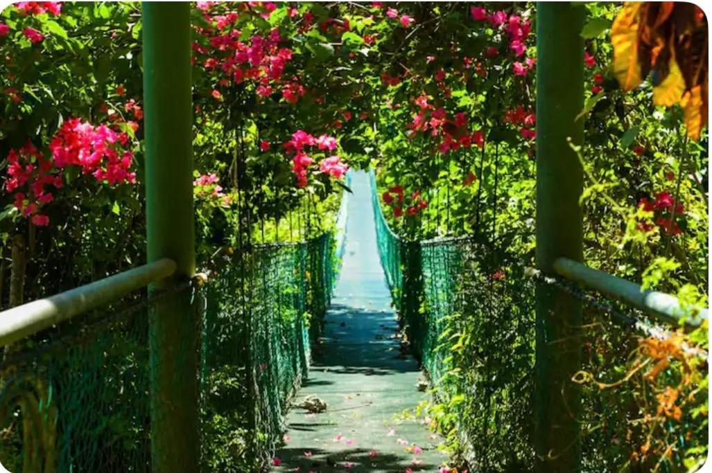 מונטזומה Sunshine Sanctuary Boutique Jungle Lodge מראה חיצוני תמונה