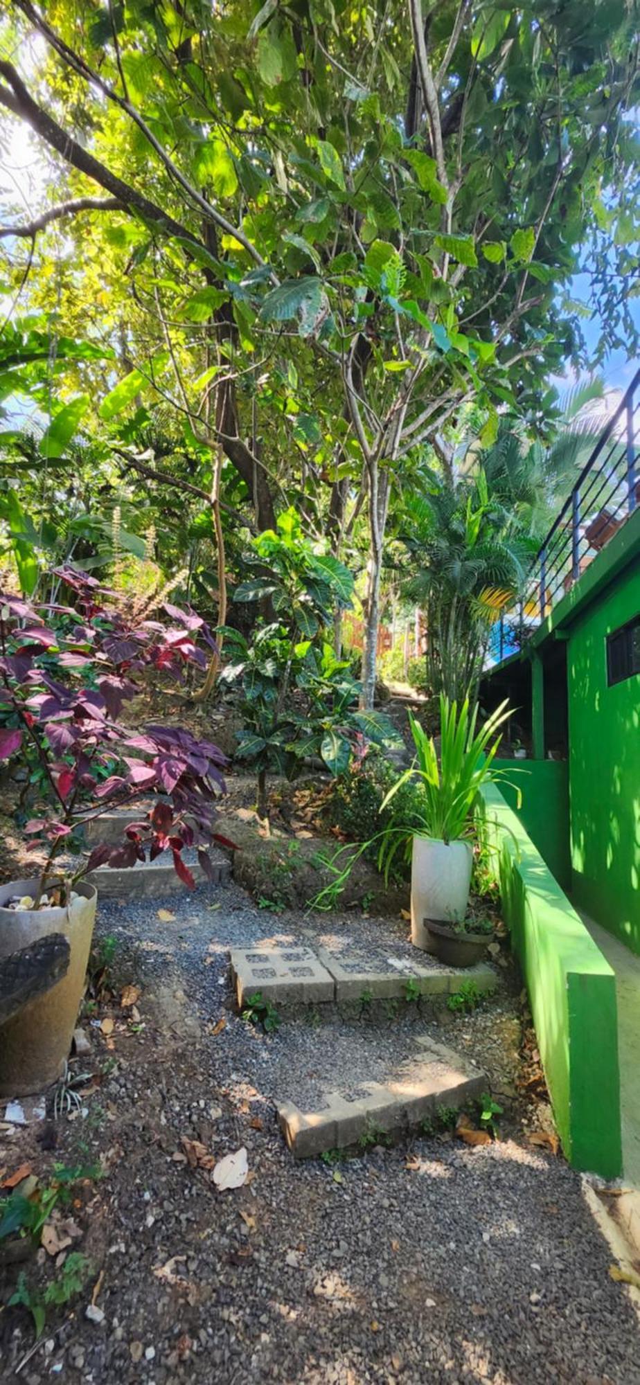 מונטזומה Sunshine Sanctuary Boutique Jungle Lodge מראה חיצוני תמונה