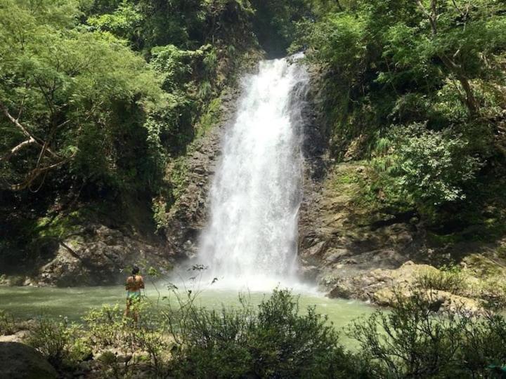 מונטזומה Sunshine Sanctuary Boutique Jungle Lodge מראה חיצוני תמונה